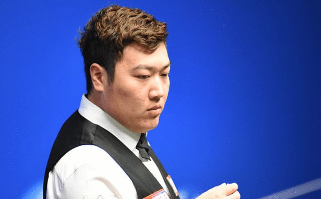 提供了宝贵 提供了宝贵