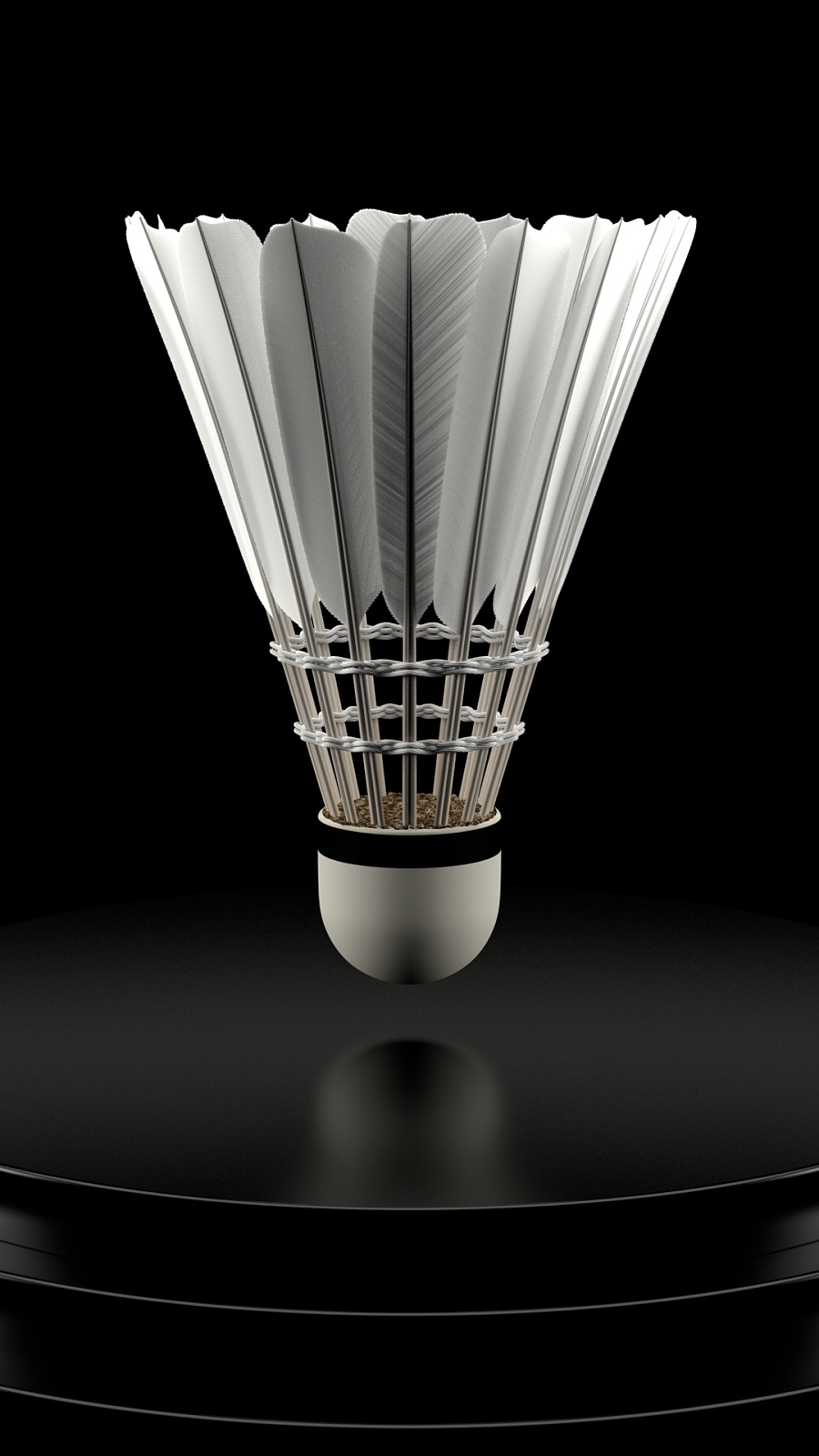 积极作用 积极作用