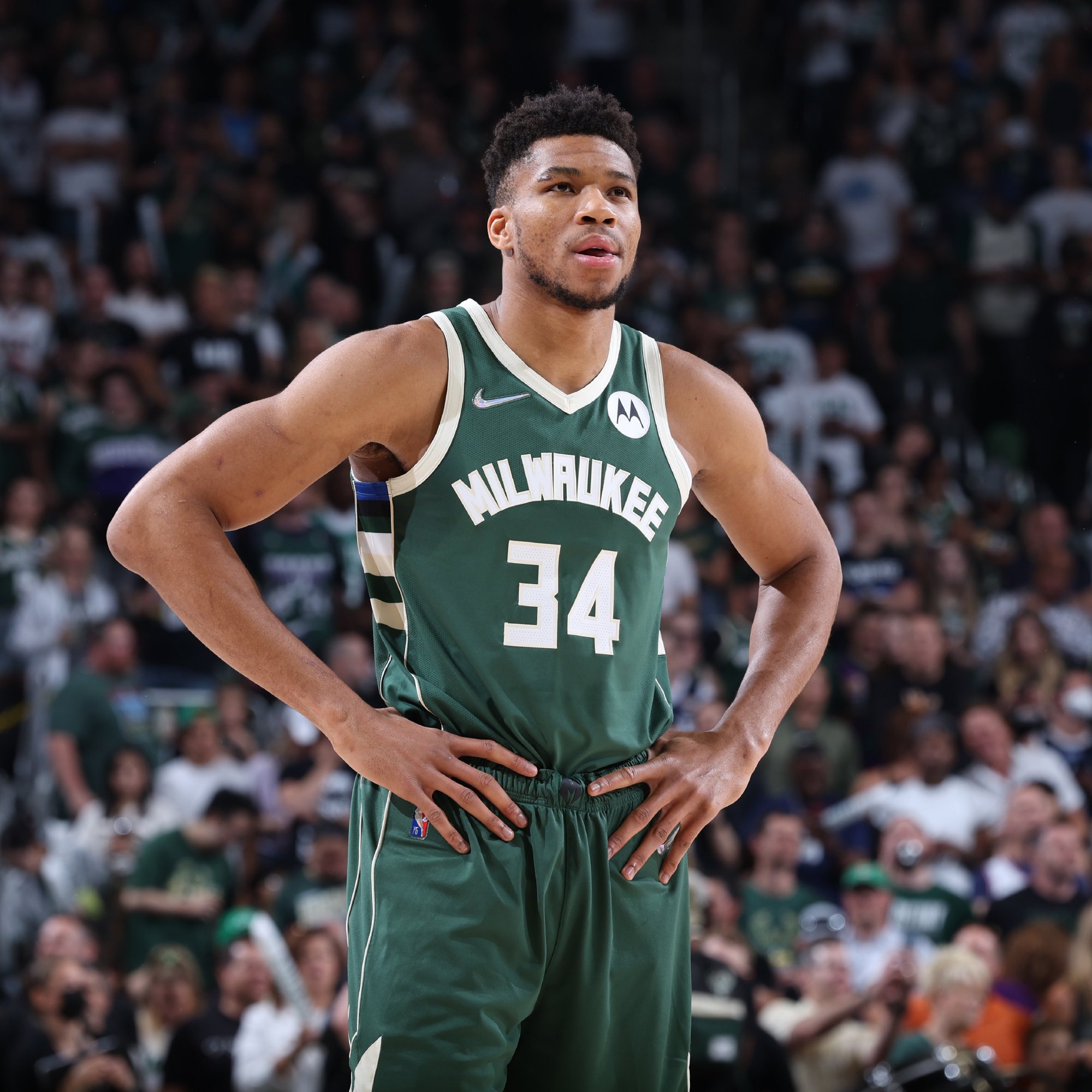 策在景气周 策在景气周